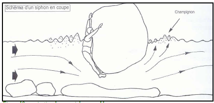 سیفون ها Siphons