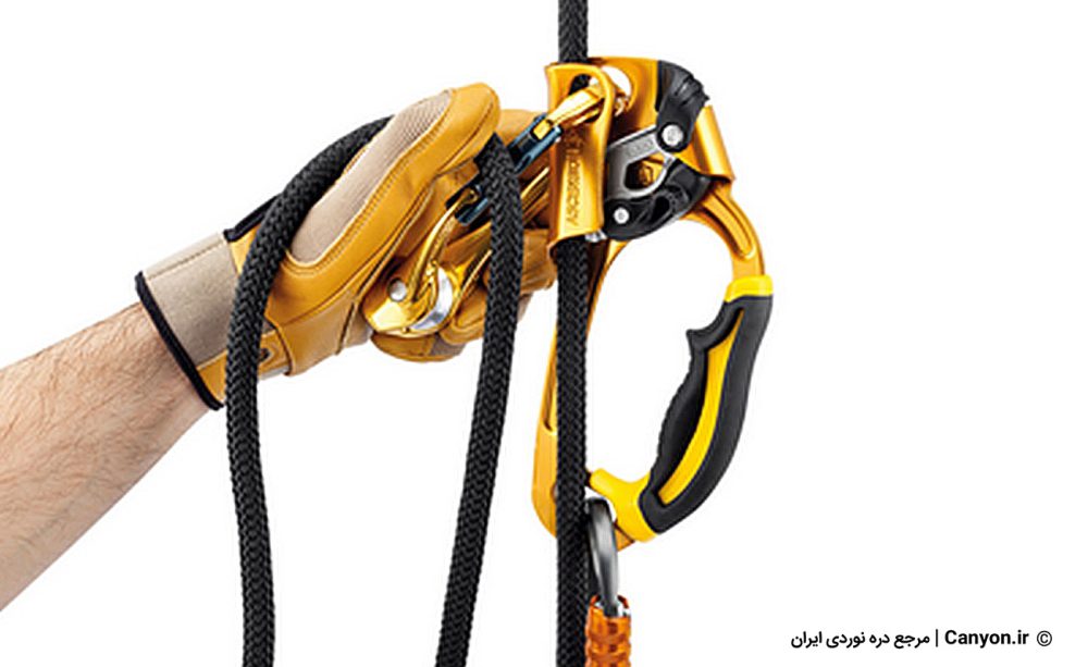 petzl ascension ascender