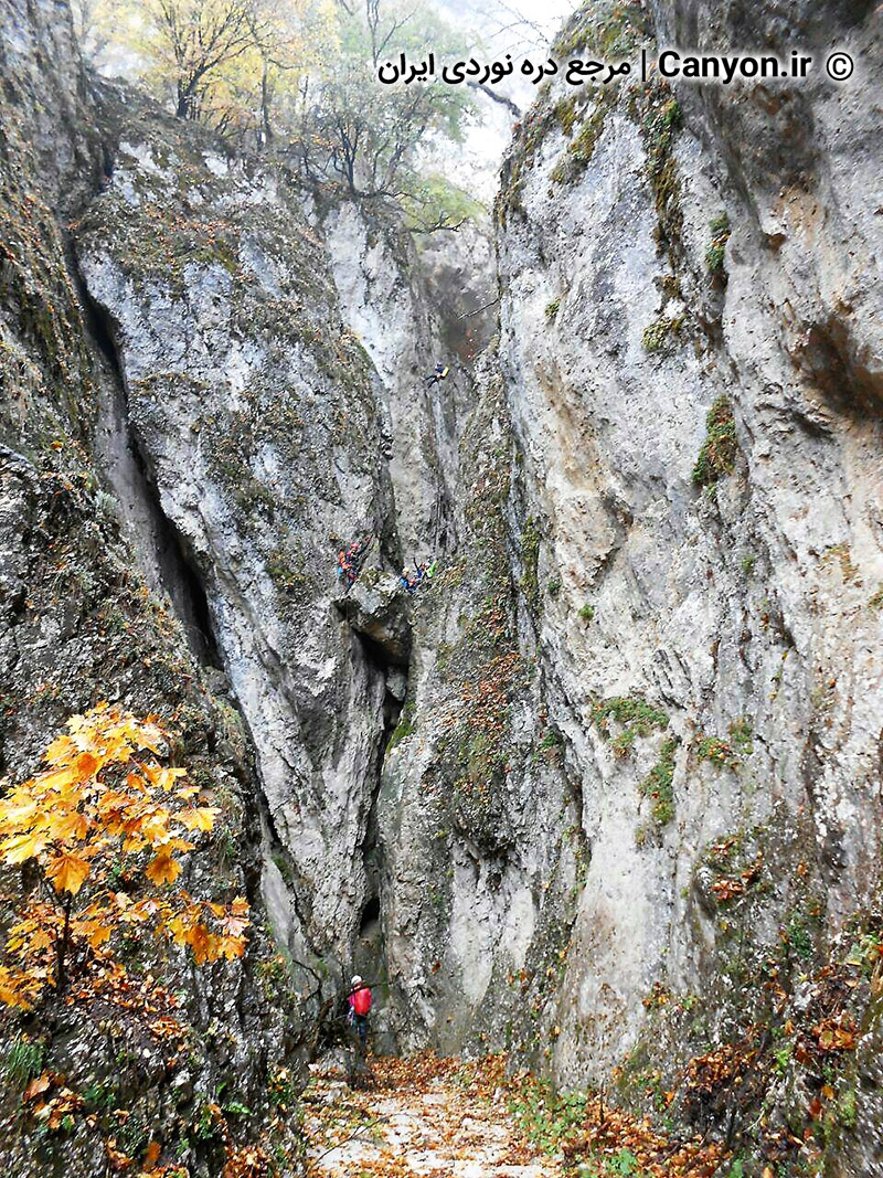 گشایش دره چهار سرو