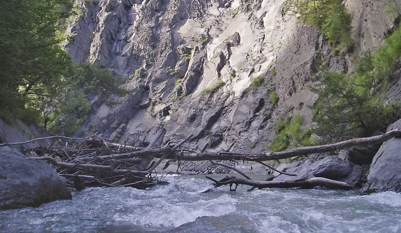 صافی ها  Strainers